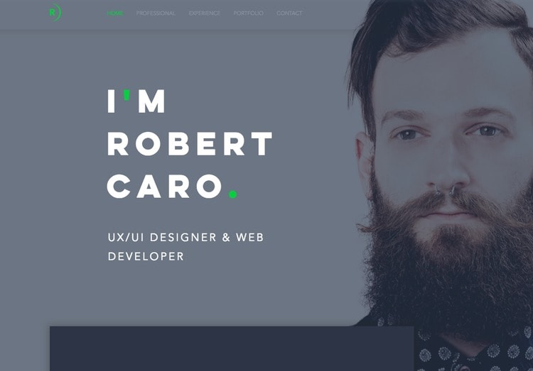 ux designer template