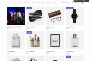 Wix ecommerce example