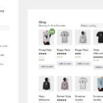 WooCommerce Themes