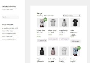 WooCommerce-Standard-Theme-Review