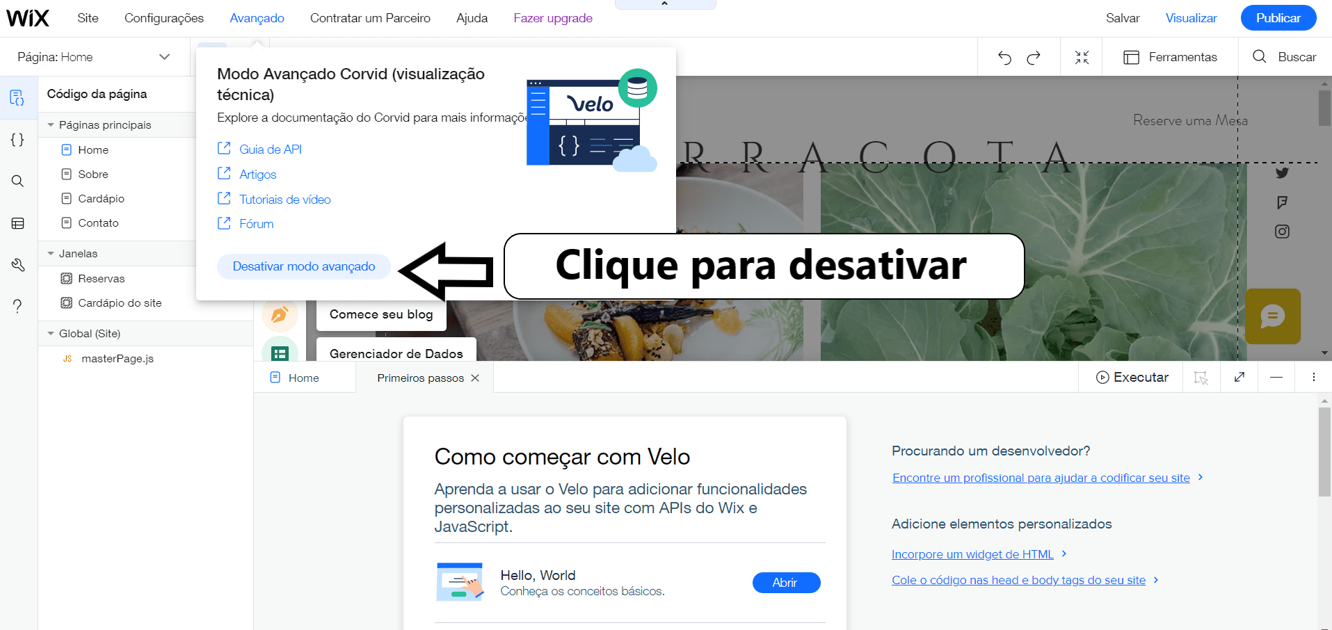 desativar modo avançado wix