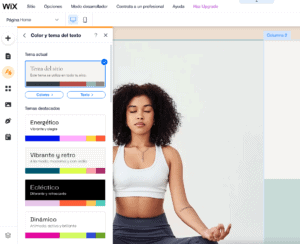 wix cambiar diseño