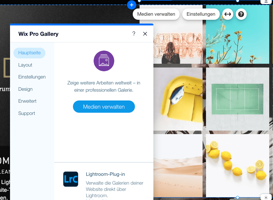 wix editor medien verwalten